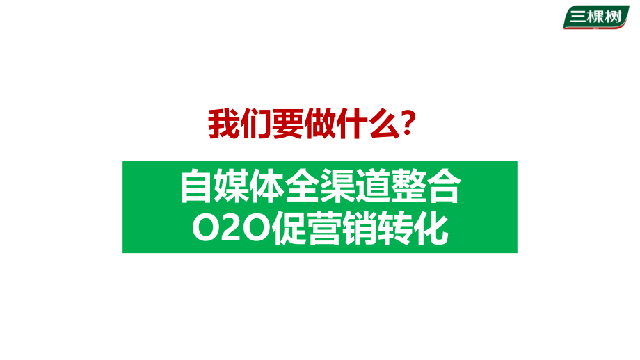 2014-三棵树漆自媒体整合营销方案－扬悦博众_第2页