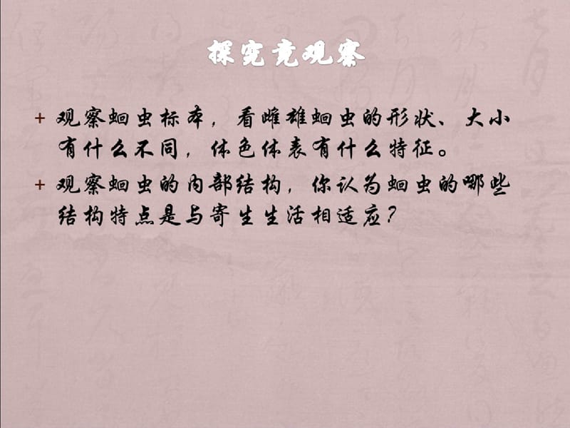 人教版八年级生物上册《第一章_第二节_线形动物和环节动物》课件5-完整版_第2页