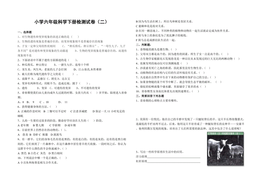 小学科学六年级试题_第3页