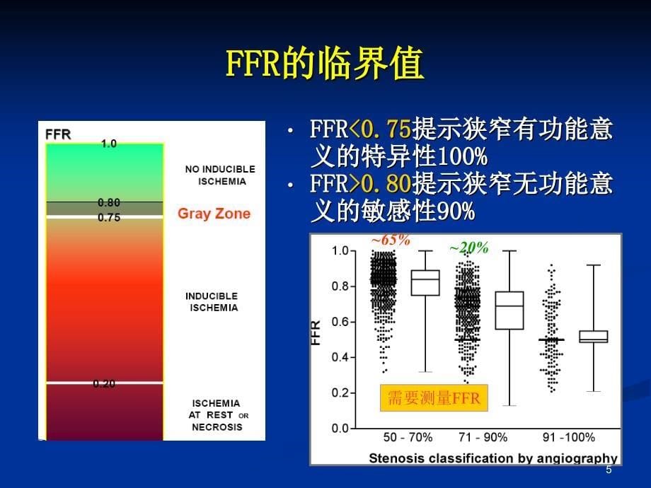 阜外-FFR原理及临床应用_第5页