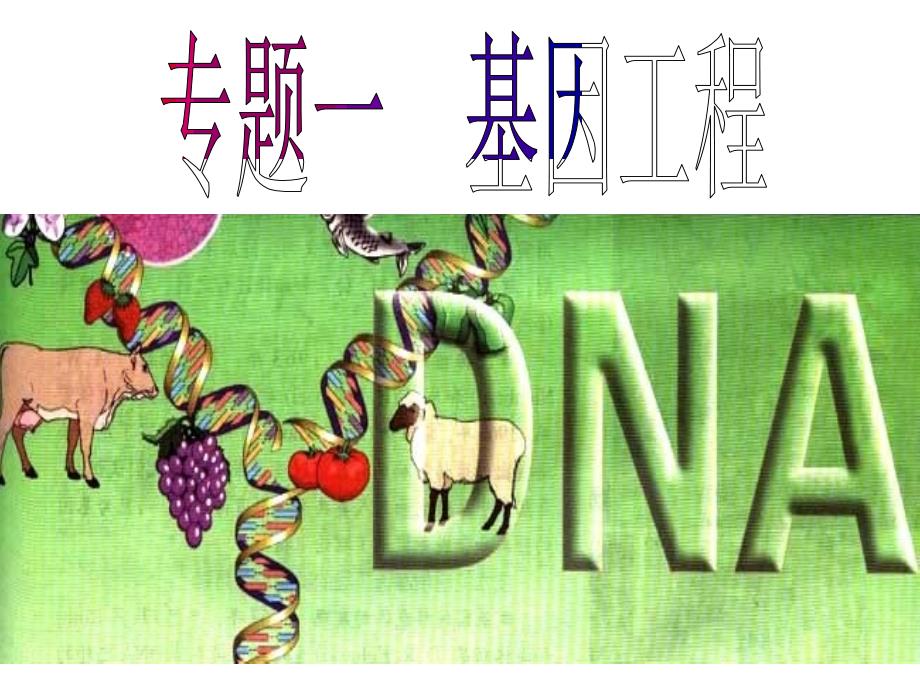 DNA重组技术的基本工具(41页)_第3页