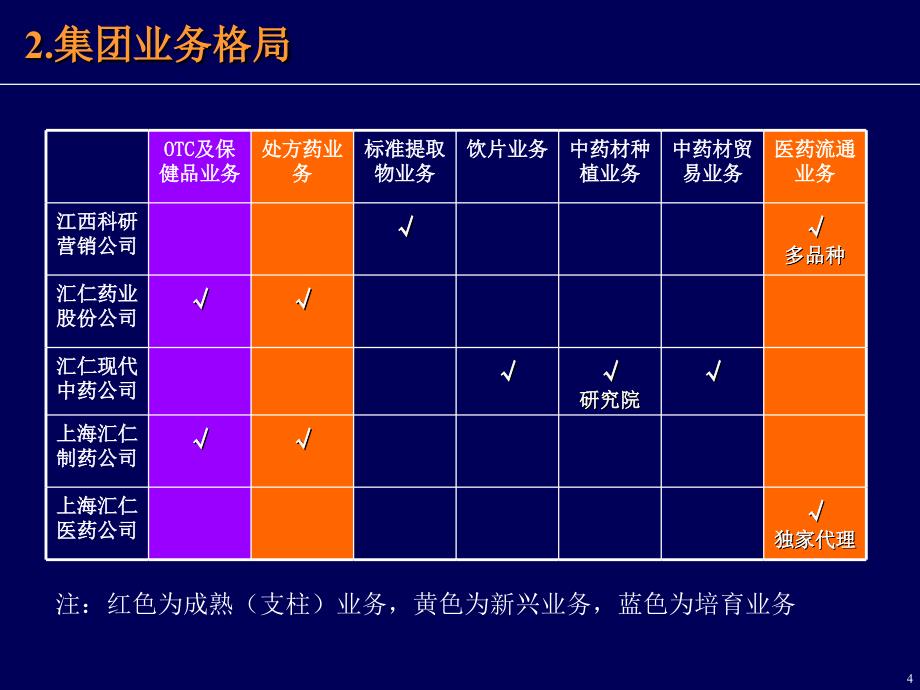 汇仁集团架构及管理模式解决方案(ppt 39页)_第4页