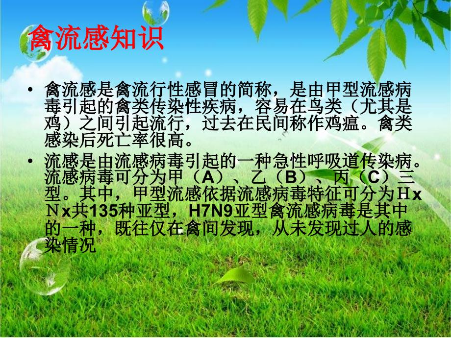 H7N9禽流感防控知识培训.ppt_第4页