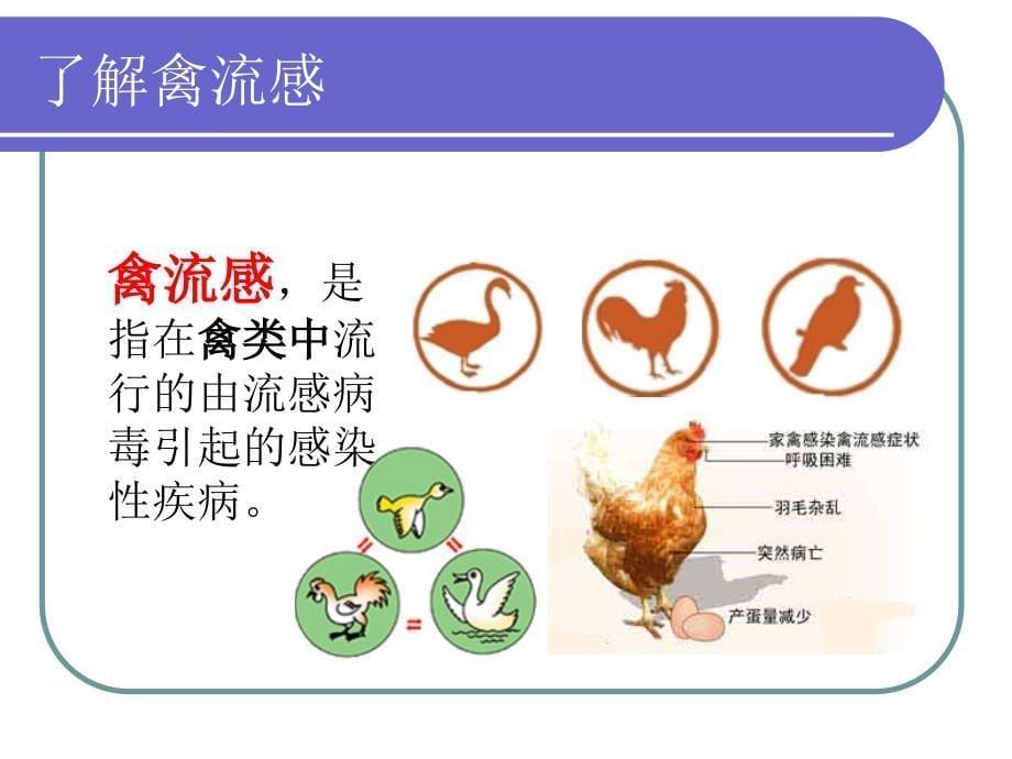 H7N9禽流感培训.ppt_第5页