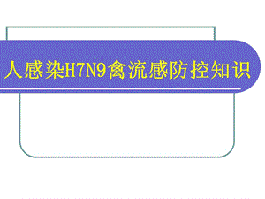 H7N9禽流感培训.ppt