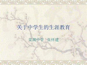 教师培训——生涯教育材料.ppt