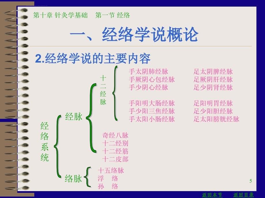 针灸学基础ppt课件_第5页