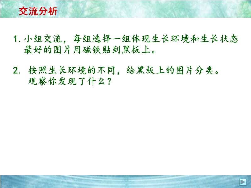 青岛版二年级科学上册《植物和水》课件_第3页