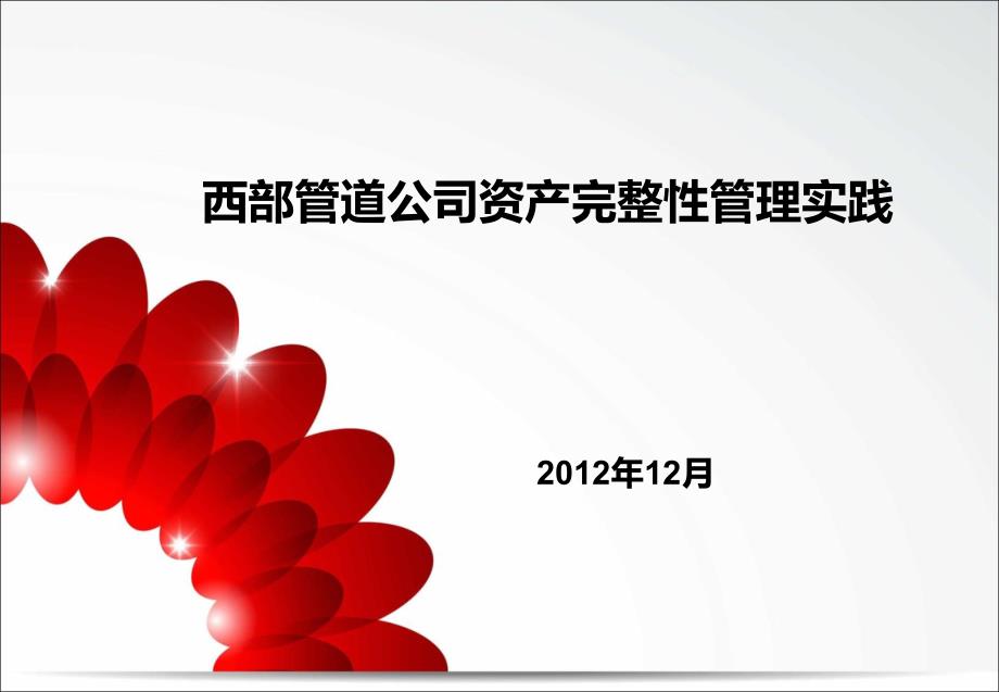 某公司资产完整性管理实践课程(PPT 28页)_第1页