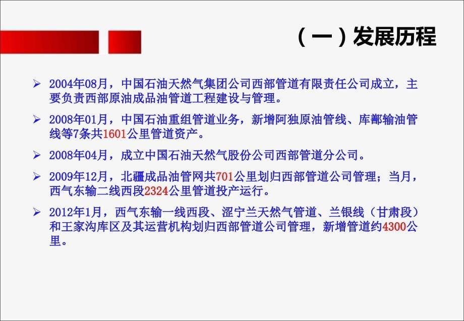 某公司资产完整性管理实践课程(PPT 28页)_第5页