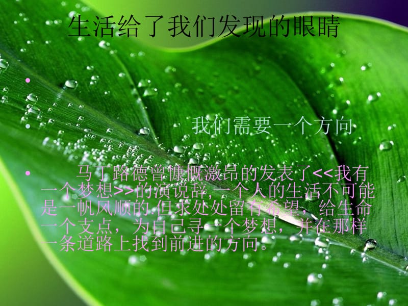 职场生涯给自己一个梦想-我的职业生涯设计材料.ppt_第2页