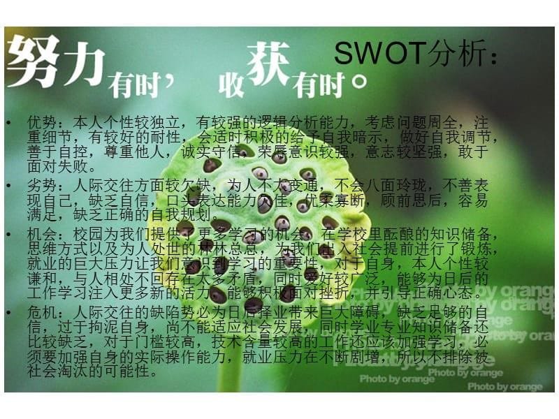 职场生涯给自己一个梦想-我的职业生涯设计材料.ppt_第5页