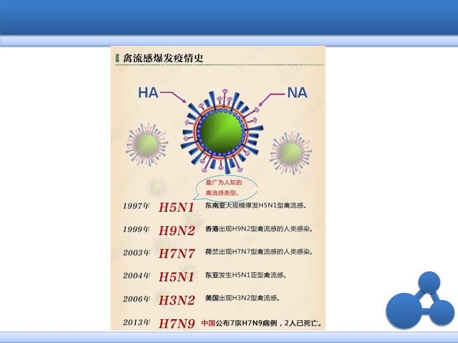 H7N9禽流感培训XXXX0402.ppt_第3页