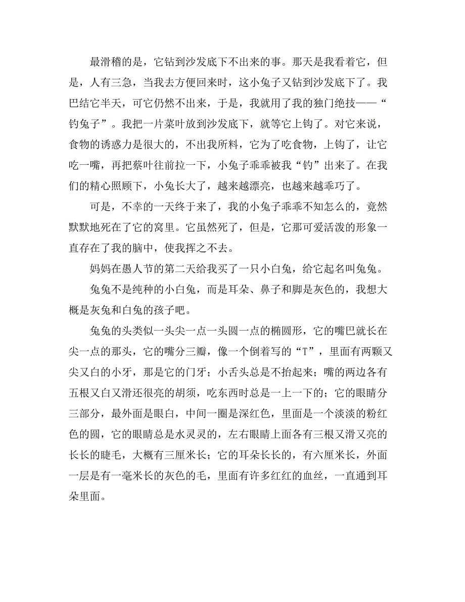 2021小学生写小白兔作文500字锦集十篇_第2页