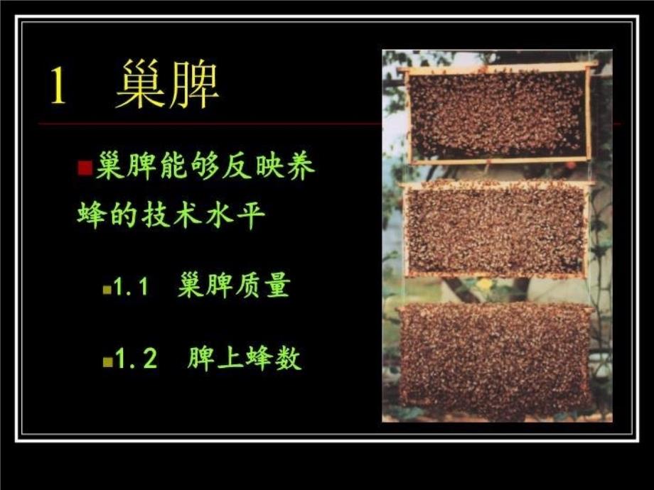 中华蜜蜂饲养管理技术讲座_第4页