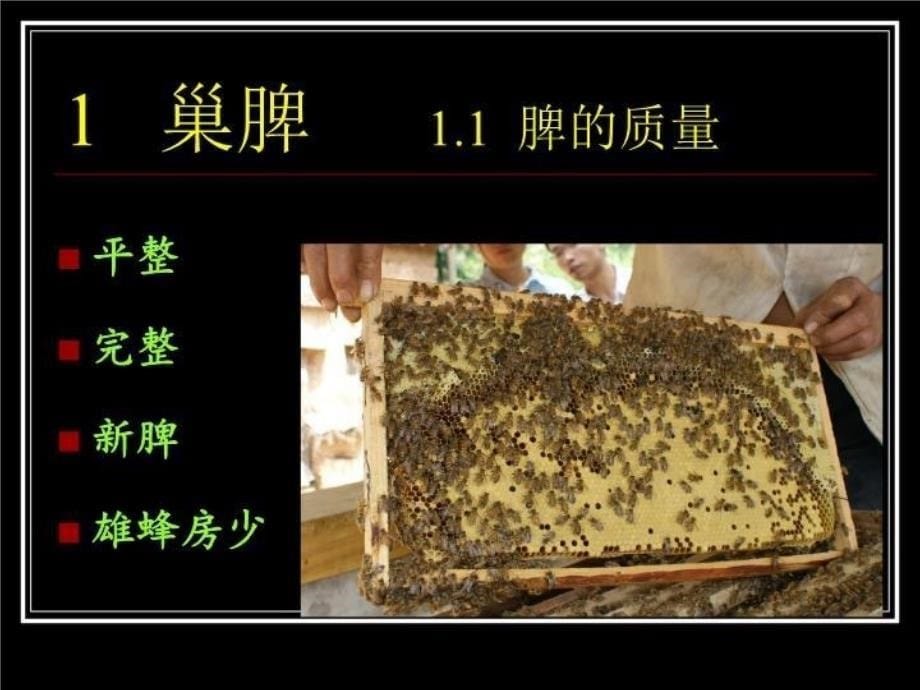 中华蜜蜂饲养管理技术讲座_第5页