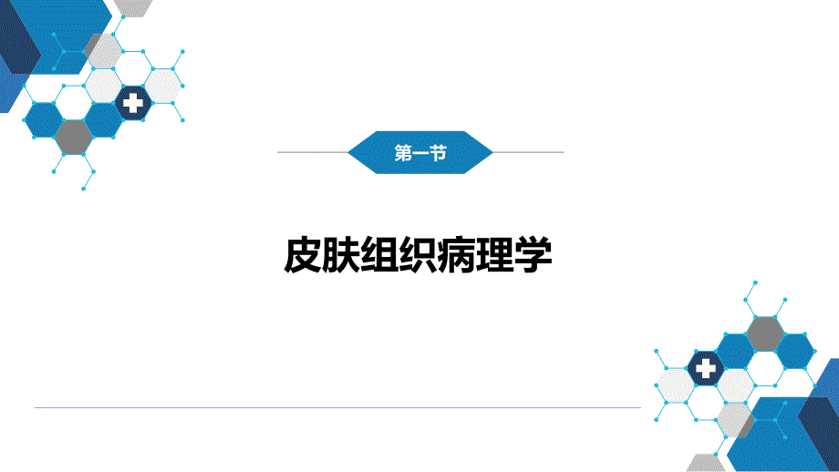 皮肤性病学-第五章 皮肤性病的辅助检查方法_第4页