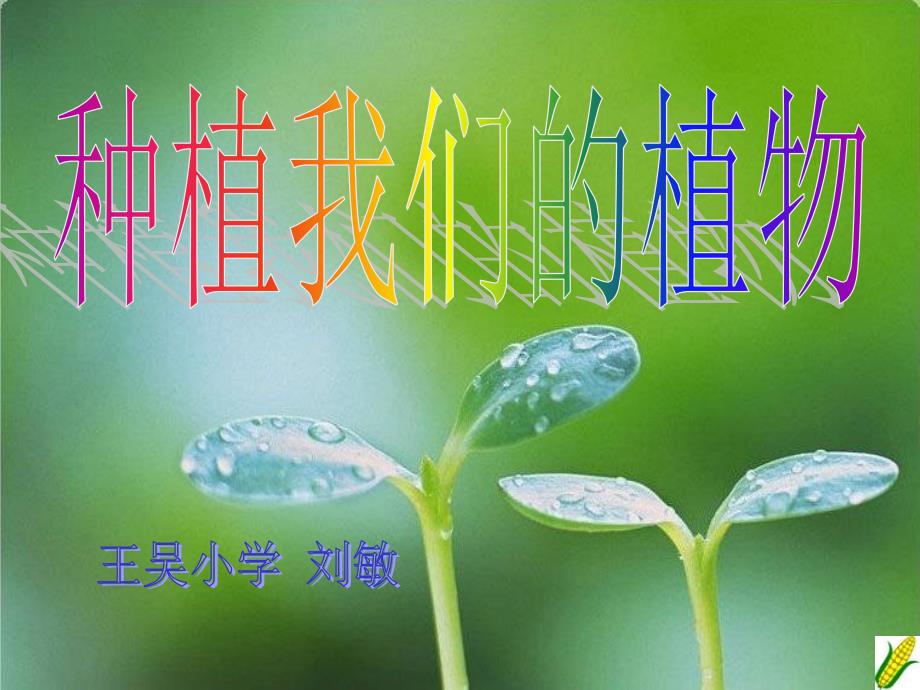 教科版三年级下册科学《种植我们的植物》课件 (16)_第1页