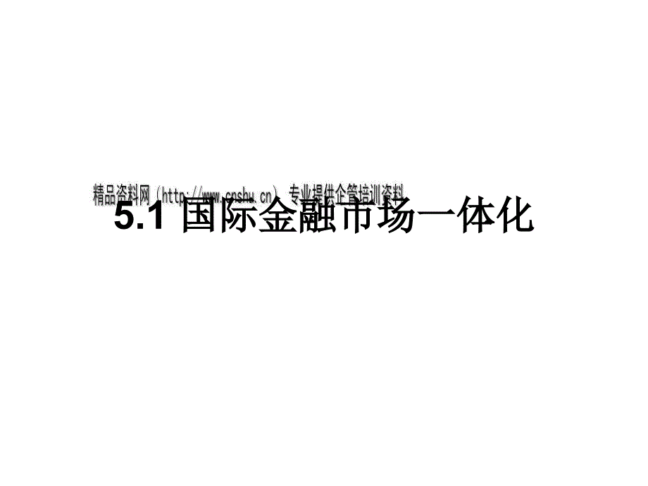 国际资产组合投资方式(ppt 51页)_第3页