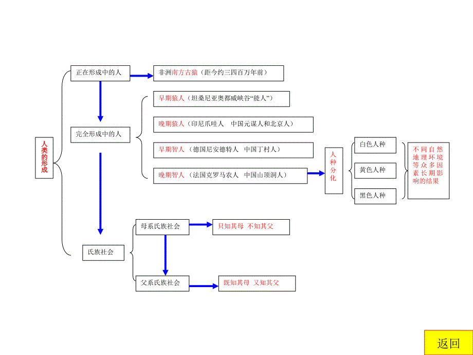 九年级上册历史课件（最新编写-修订版）_第4页