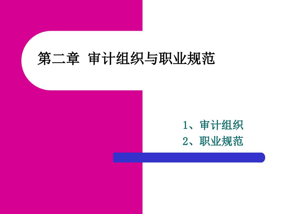 审计组织与职业规范(PPT 60页)_第1页