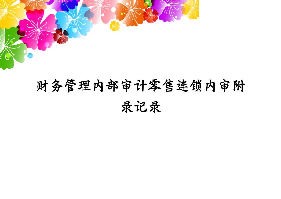 财务管理内部审计零售连锁内审附录记录_第1页