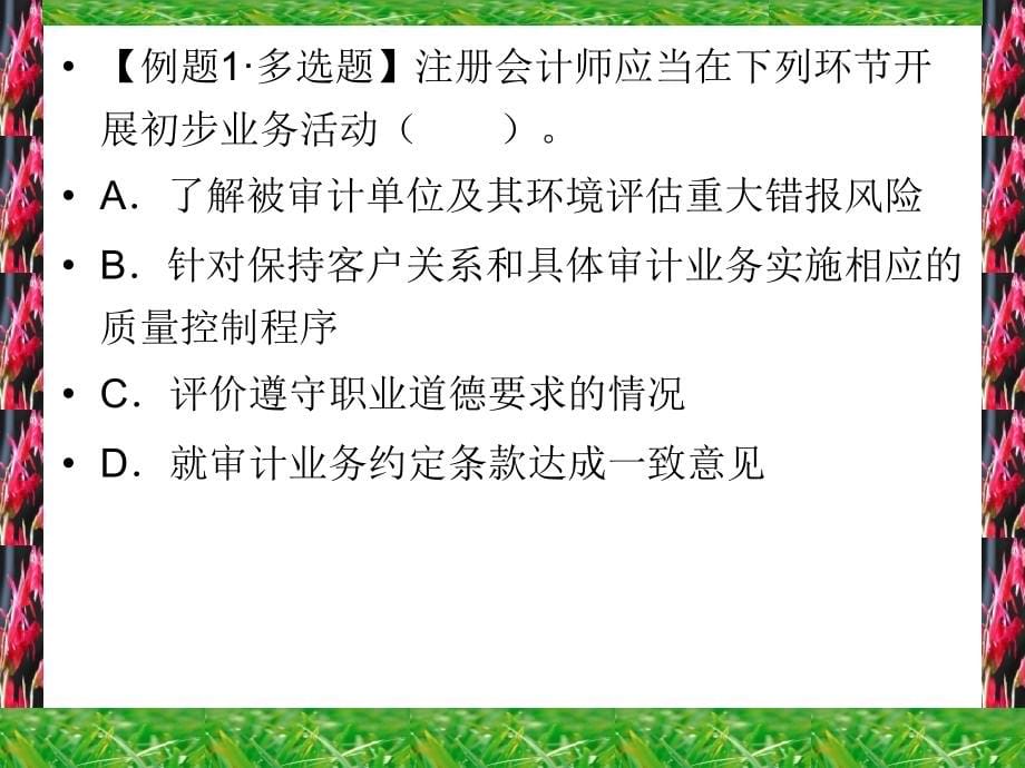 审计计划培训讲义(ppt 112页)_第5页