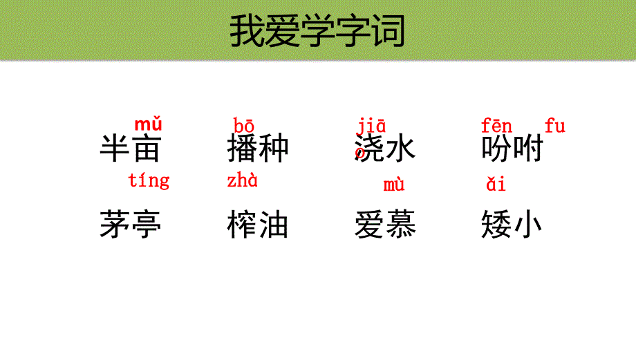 人教部编版小学语文五年级上册《2落花生》演示课件_第3页