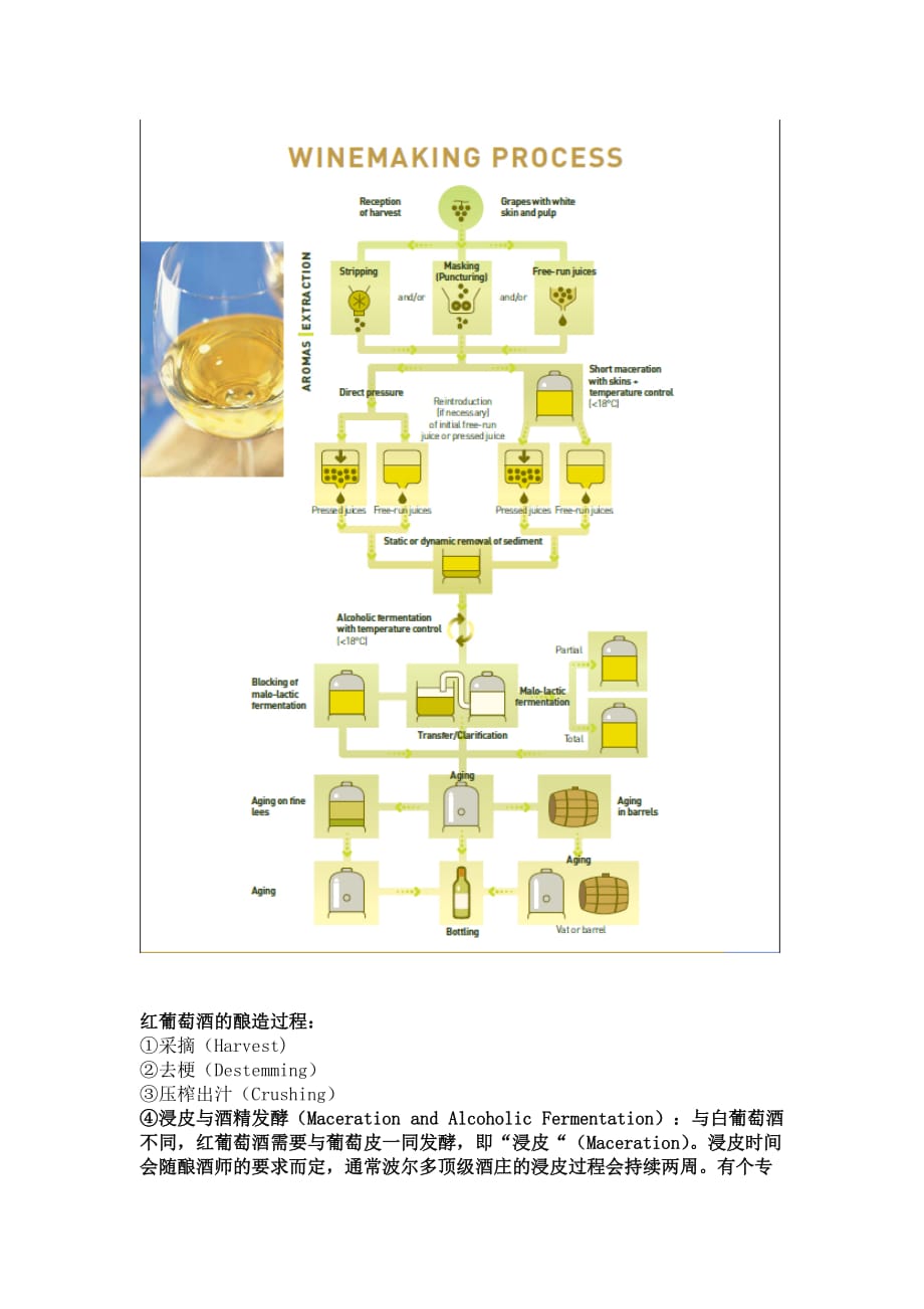 酒类商品的入门知识葡萄酒入门知识e酿造工艺_第2页