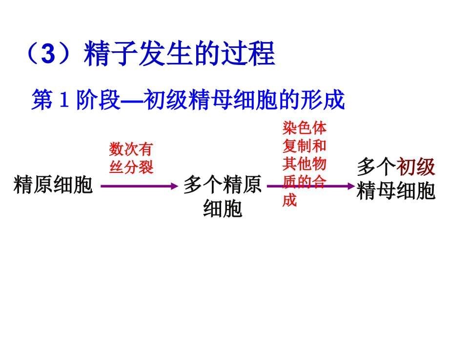 人教版教学ppt课件定稿体内受精和早期胚胎发育_第5页