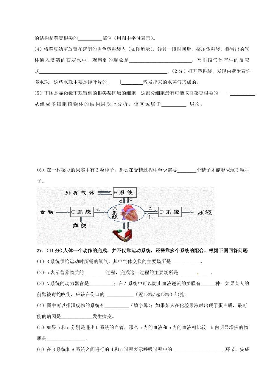 精品解析：山东省安丘市东埠初级中学2016届九年级学业水平模拟生物试题解析（原卷版）.doc_第5页