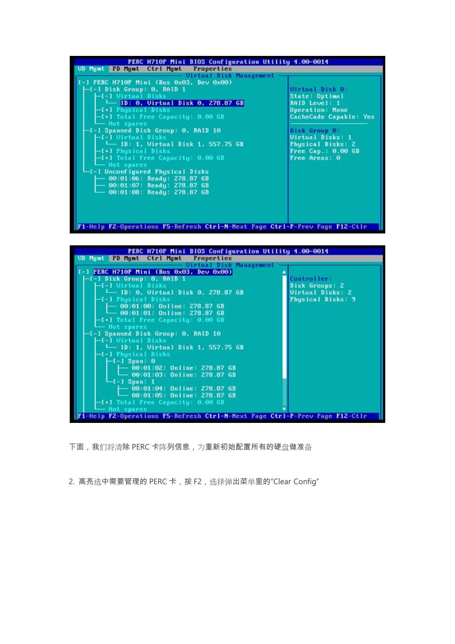 戴尔PowerEdge_RAID控制卡使用示例(PERC_H710P为例)_第3页