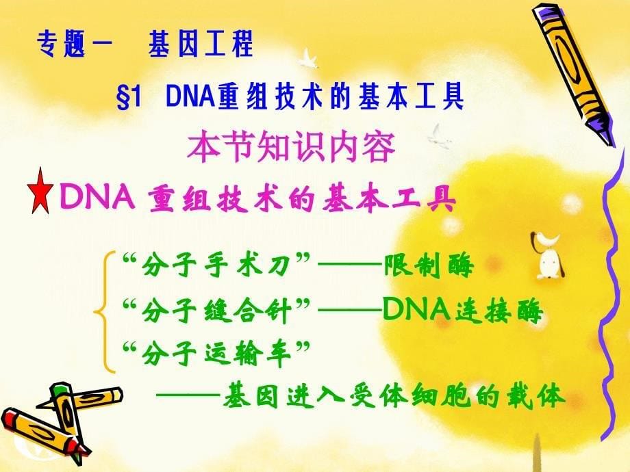 HDNA重组技术的基本工具上课课件解读_第5页