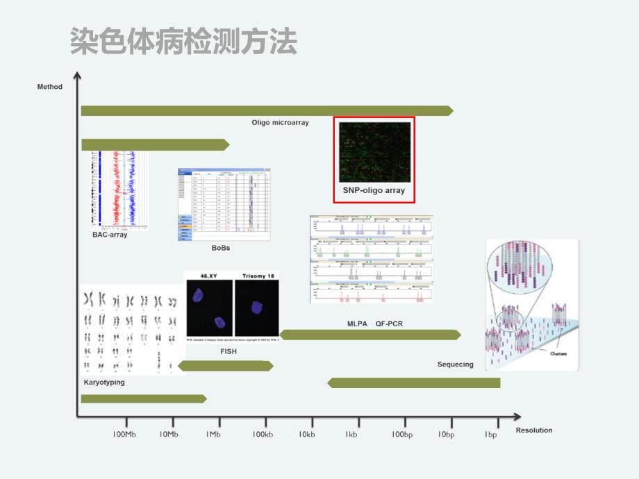 BoBs在临床中的应用剖析_第4页