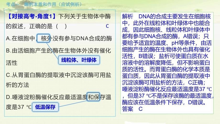 高中生物一轮总复习 第8讲：酶的本质、特性及相关实验探究_第5页