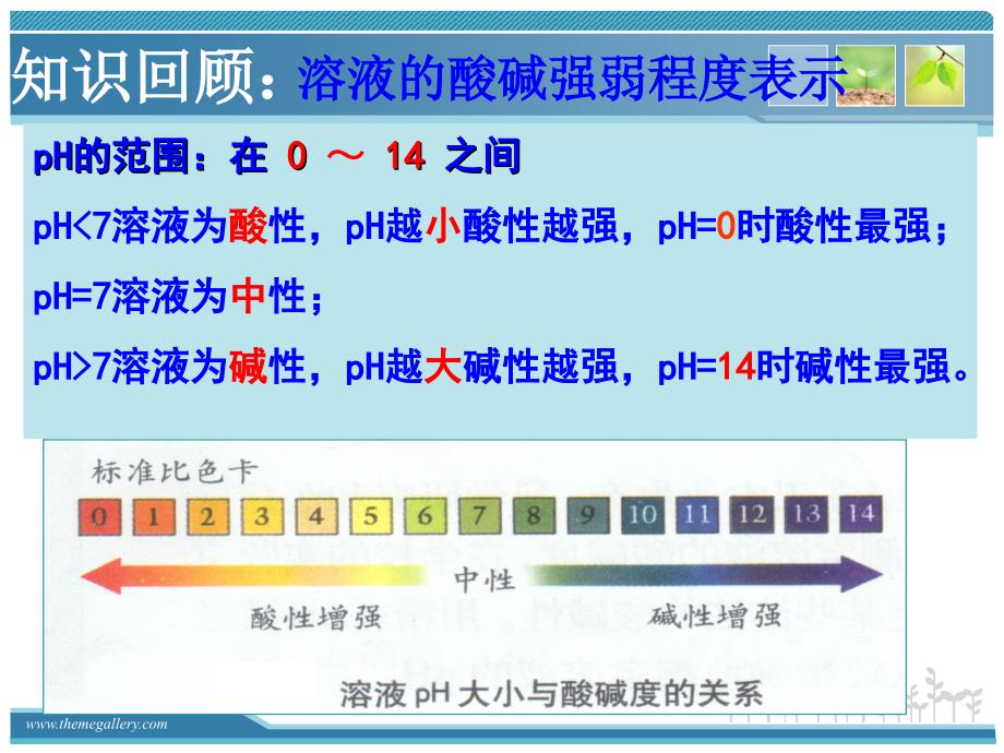 pH试纸的使用最新版_第2页