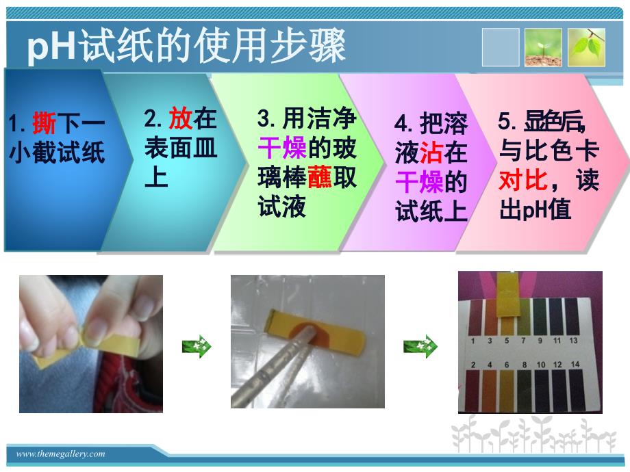 pH试纸的使用最新版_第4页