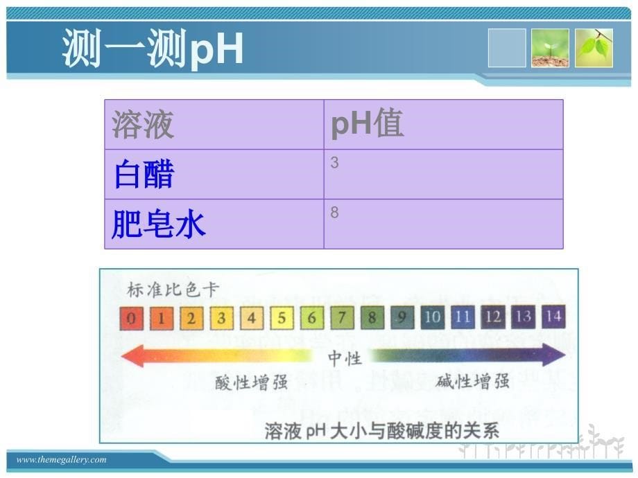 pH试纸的使用最新版_第5页