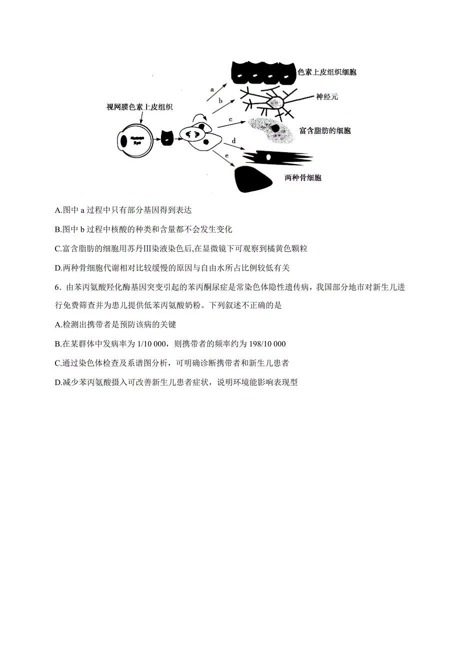 江西赣中南五校高三上学期第一次联考（7月）生物试题Word版含答案.doc_第3页