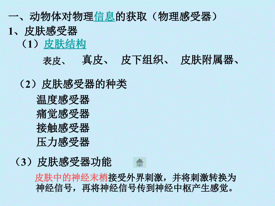 沪科版生命科学高二上5-1《动物体对外界信息的获取》PPT课件6.ppt_第3页