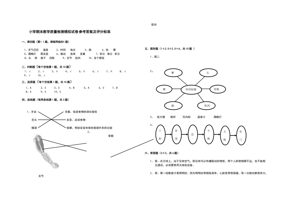 小学阶段科学综合试题10_第3页