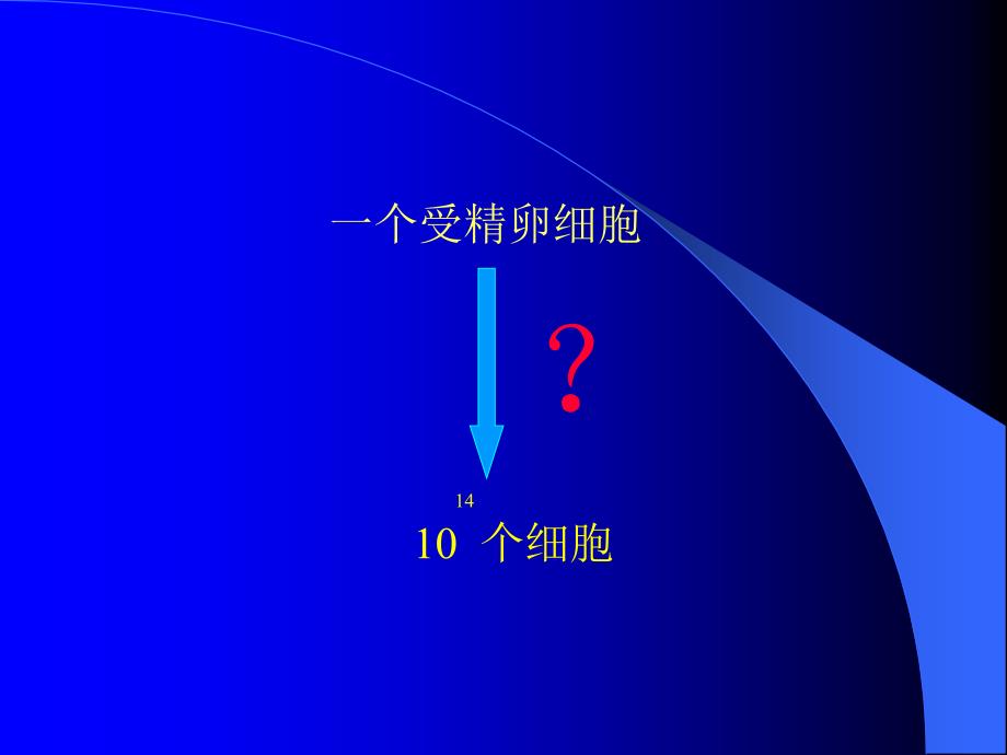 沪科版生命科学高二上7-2《有丝分裂》PPT课件13.ppt_第1页