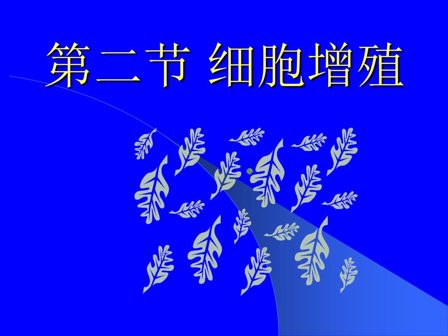 沪科版生命科学高二上7-2《有丝分裂》PPT课件13.ppt_第2页