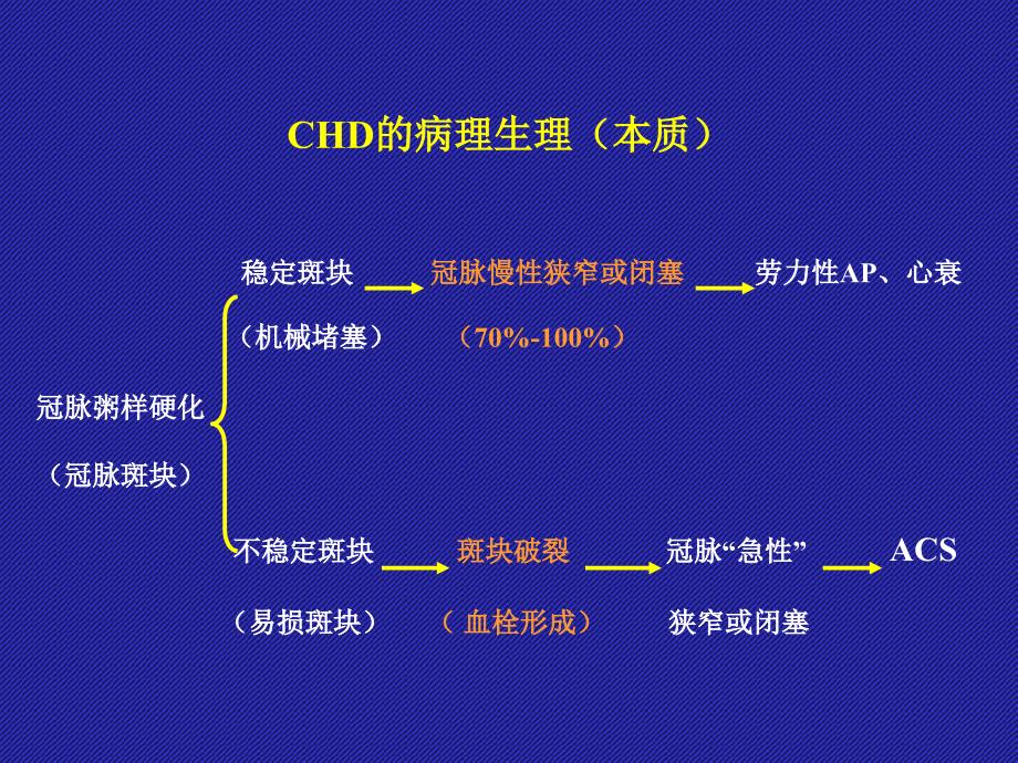 ACS诊断和治疗_第4页