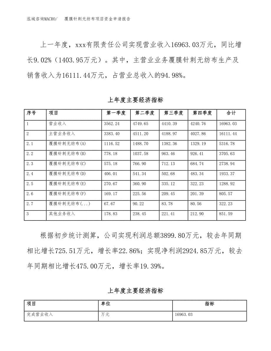 覆膜针刺无纺布项目资金申请报告.docx_第5页