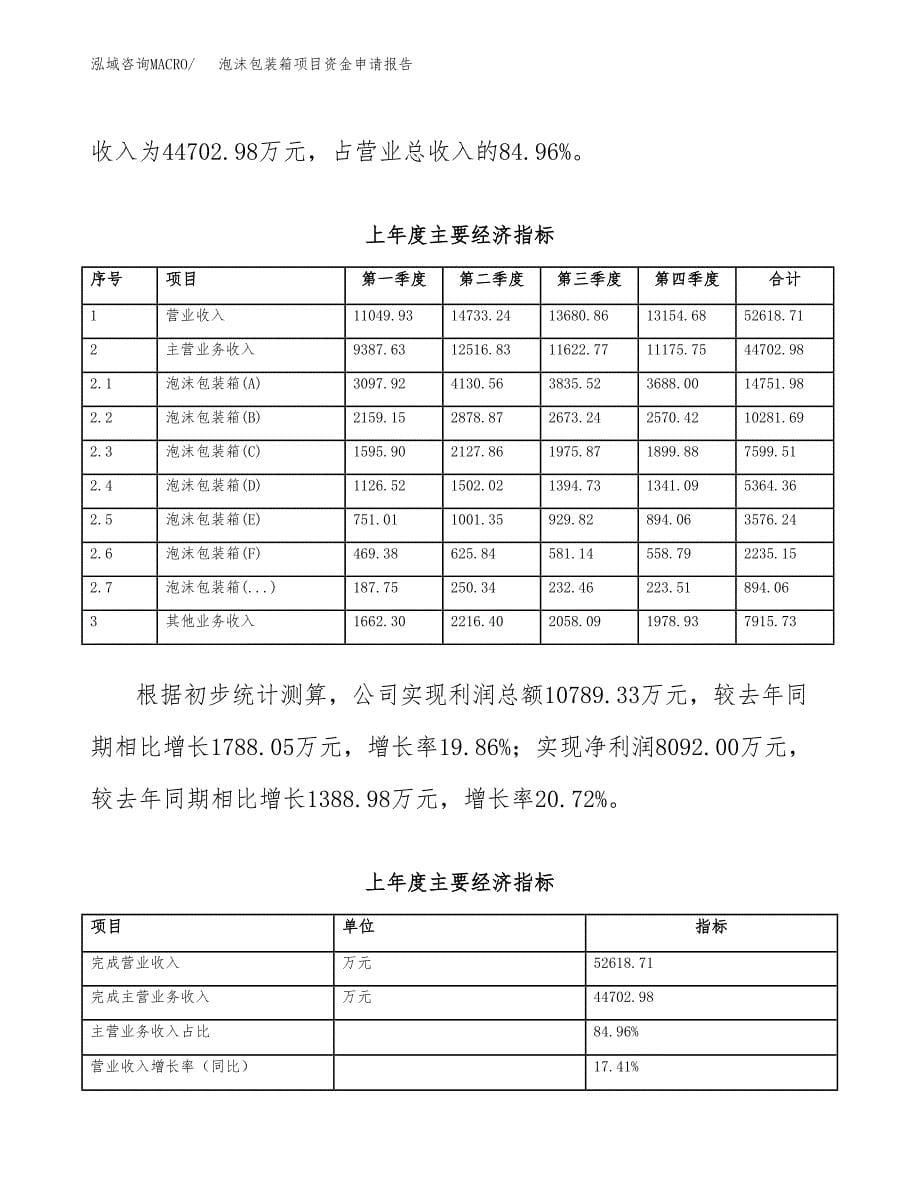 泡沫包装箱项目资金申请报告.docx_第5页