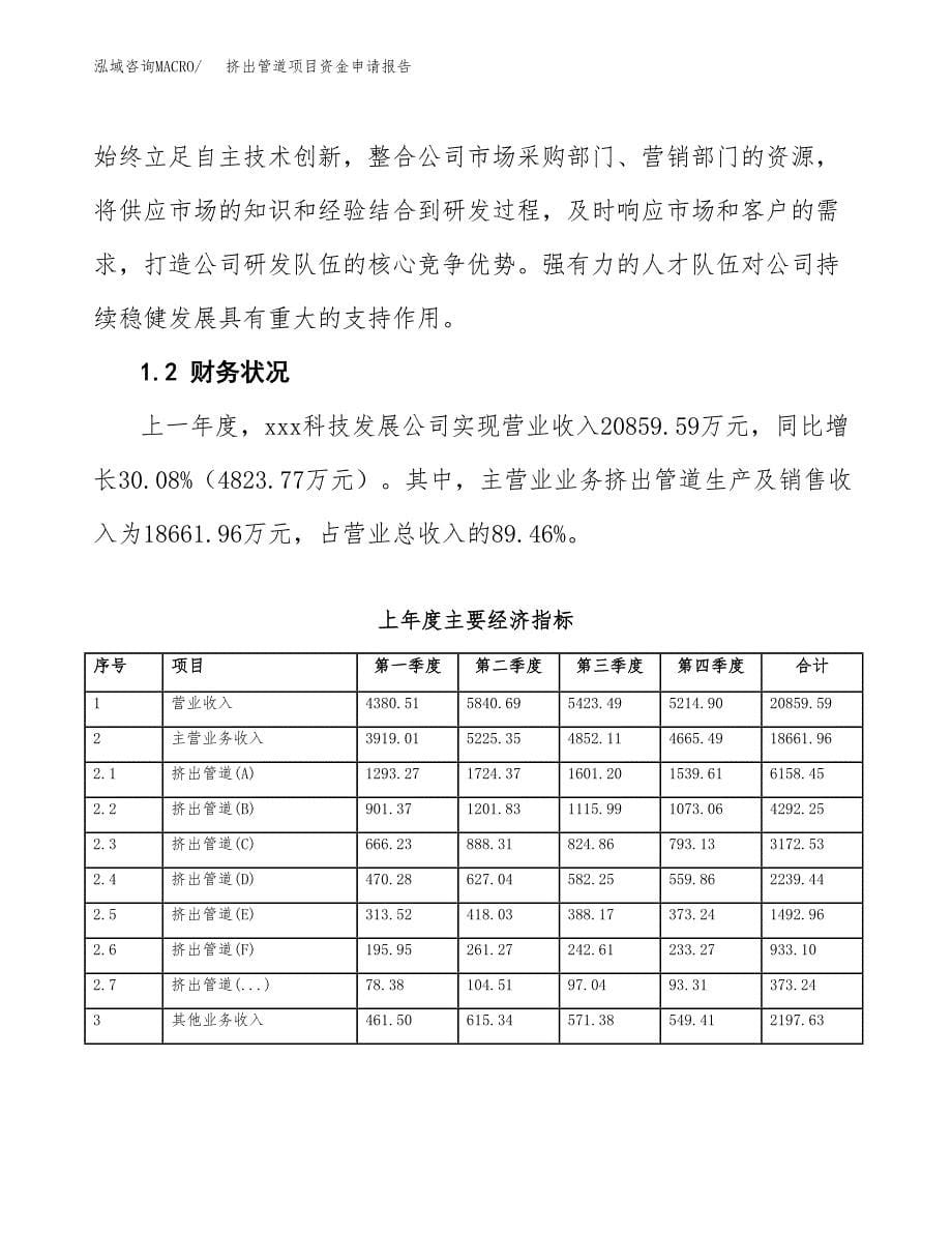 挤出管道项目资金申请报告.docx_第5页