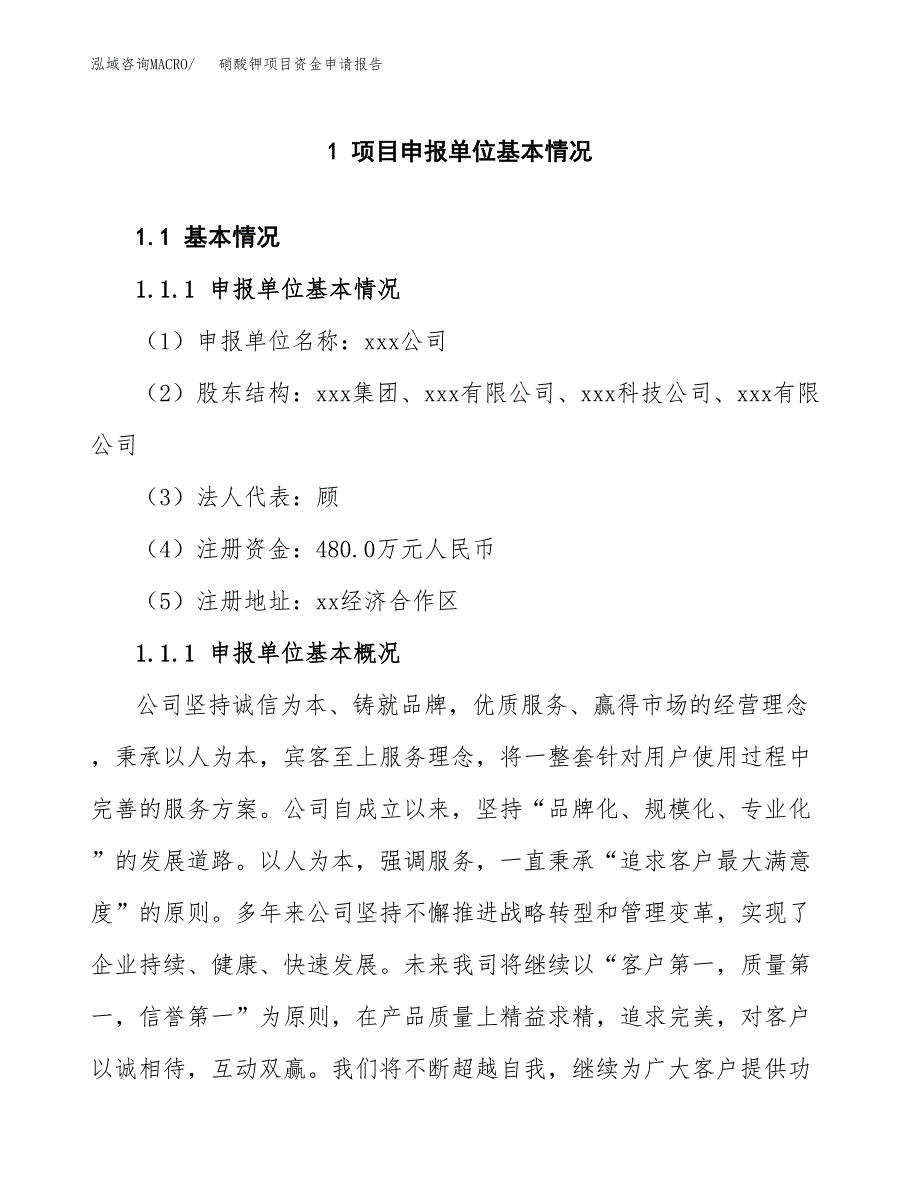 硝酸钾项目资金申请报告.docx_第3页