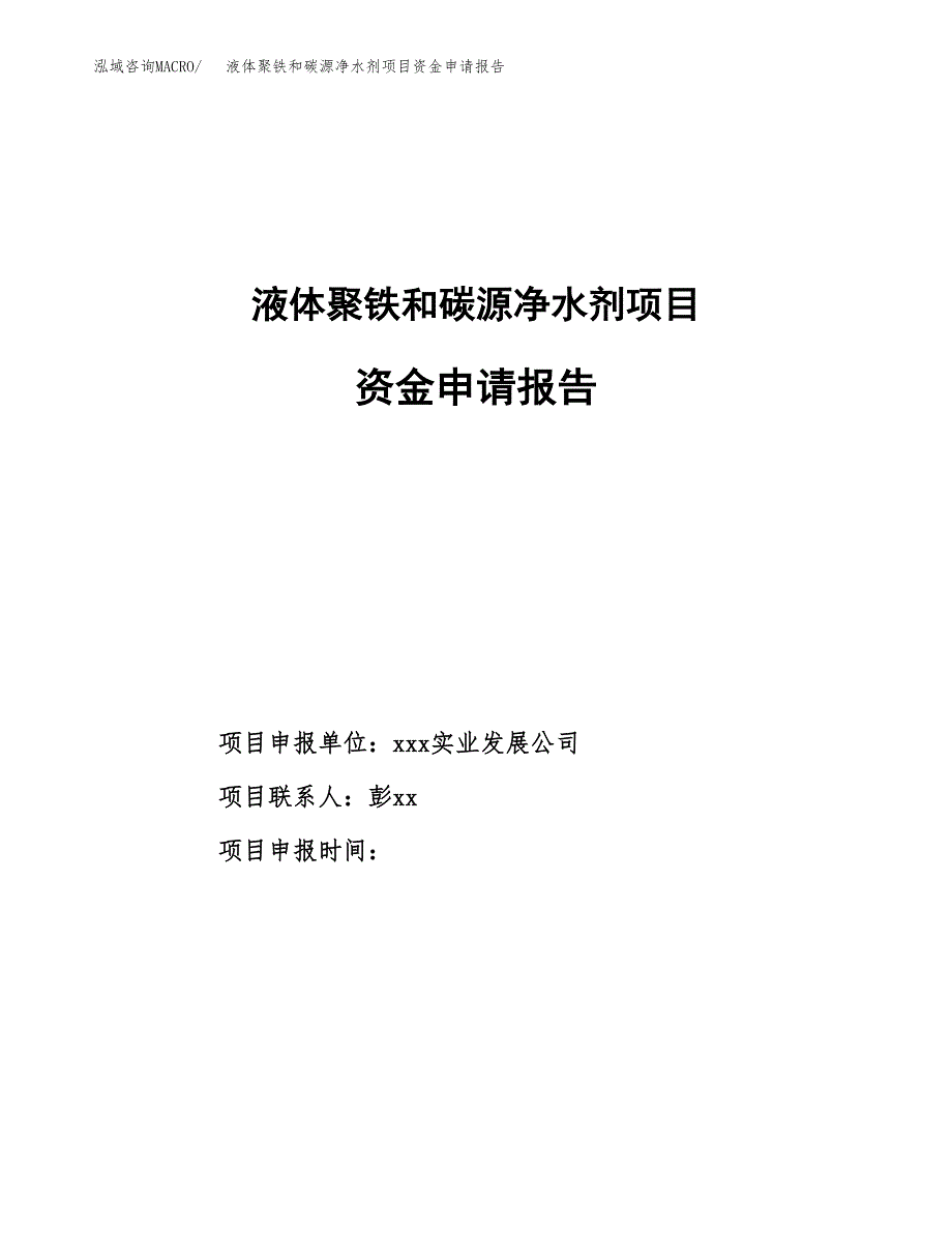 液体聚铁和碳源净水剂项目资金申请报告.docx_第1页