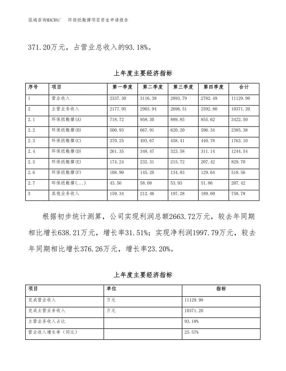 环保纸鞋撑项目资金申请报告.docx_第5页